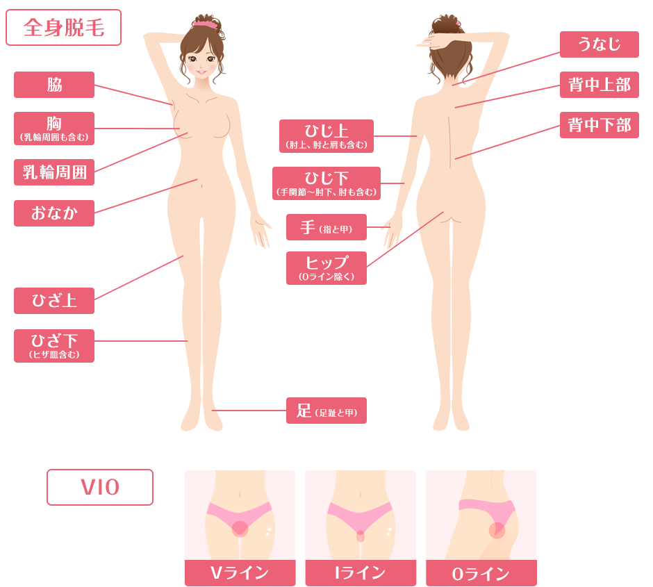 ブランクリニックの全身脱毛対象部位