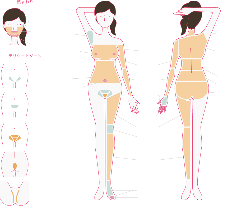グランモアの全身脱毛対象部位