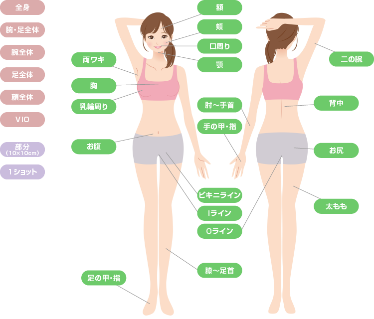 ジョウクリニックの全身脱毛対象部位