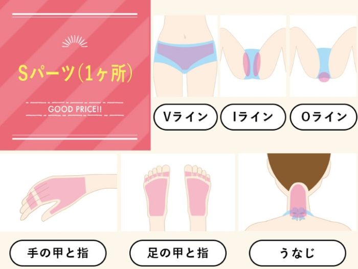 手の指と甲・足の甲と指・うなじ・VIO脱毛 リンリン