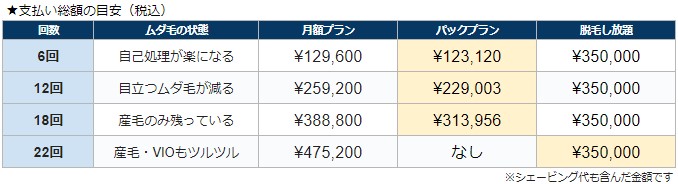 ムダ毛の状態から見る支払い総額の目安(税込)