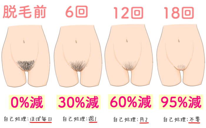 回数の目安